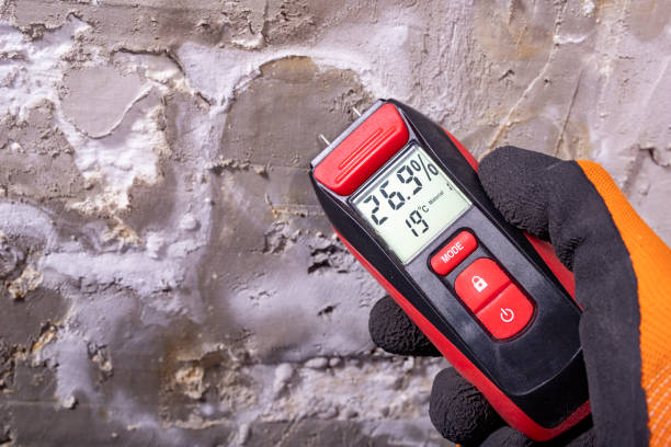 Mold Removal Process in Fairmount Heights, MD