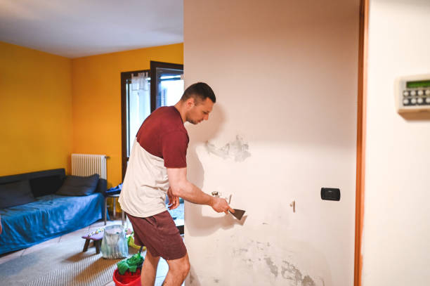 Best Office Mold Removal Services  in Fairmount Heights, MD