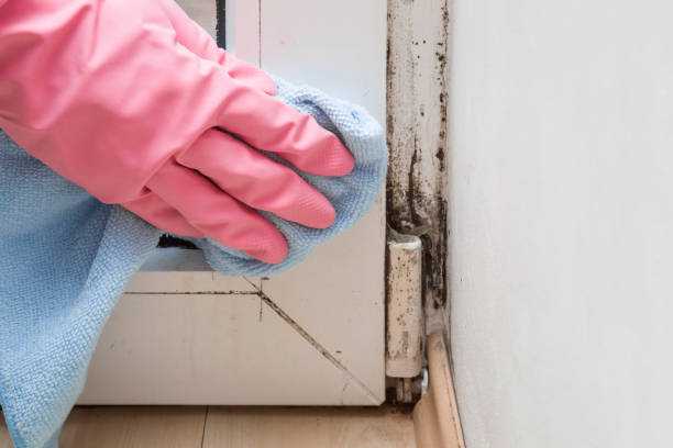Best Mold Testing  in Fairmount Heights, MD